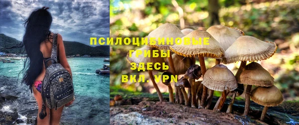 герыч Магас