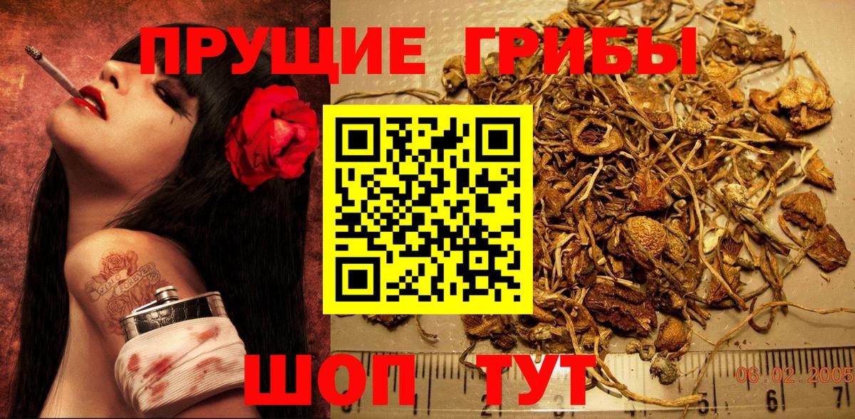 Псилоцибиновые грибы мухоморы Моршанск