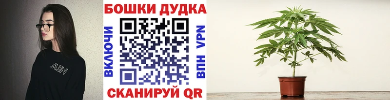 сколько стоит  Моршанск  Каннабис ГИДРОПОН 