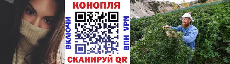 Марихуана White Widow Моршанск